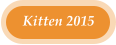 Kitten 2015