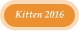 Kitten 2016
