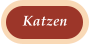 Katzen