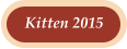 Kitten 2015