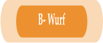 B- Wurf
