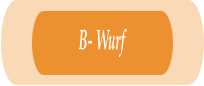 B- Wurf